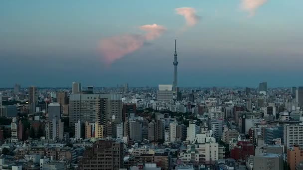 Tokio - Luchtfoto van de stad met Skytree. Van dag tot nacht. 4K resolutie tijdsverloop. 2016 — Stockvideo