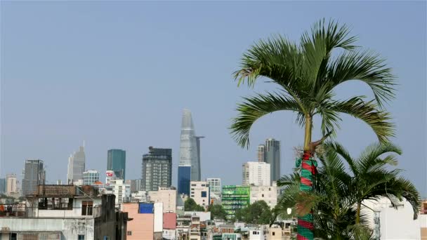 Ho Chi Minh City - Arka planda Ho Chi Minh City silueti olan palmiye ağacı. 4K çözünürlüğü — Stok video