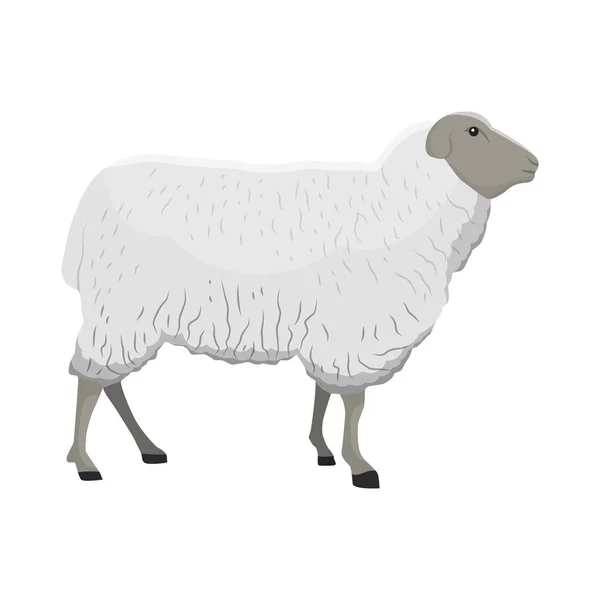 Ilustração vetorial de uma ovelha — Vetor de Stock