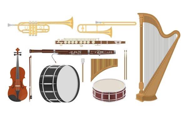 En illustration av musikinstrument — Stock vektor