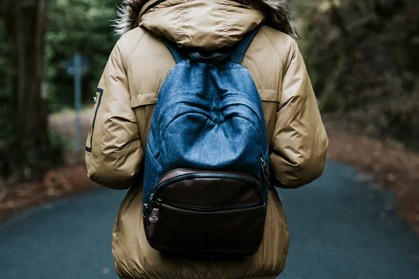 Zaino, ragazzo in montagna — Foto Stock