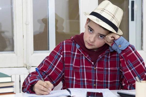 child studying at the desktop