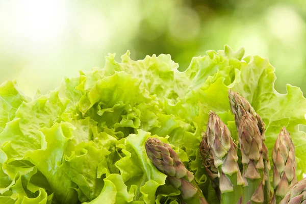 Salat und Spargel — Stockfoto