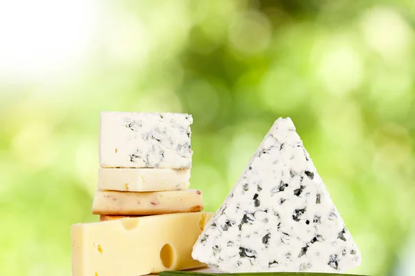 Variedades de quesos —  Fotos de Stock