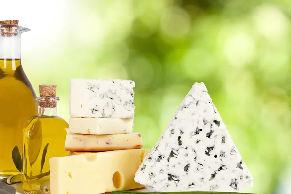 Variedades de queijos — Fotografia de Stock