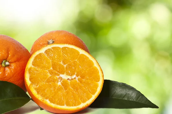 ส้มกับใบไม้ — ภาพถ่ายสต็อก