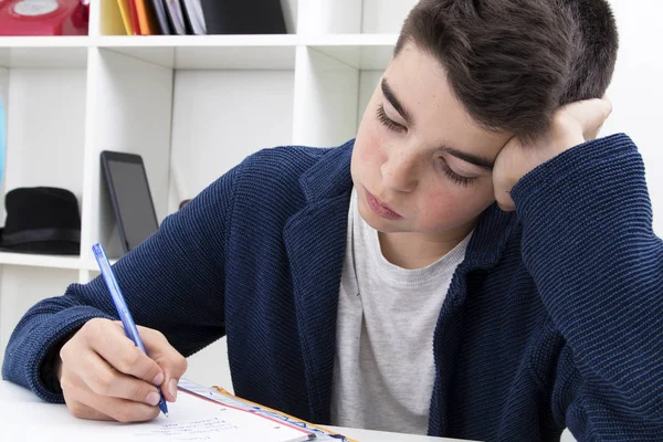 Studying at the school — Stock Photo, Image
