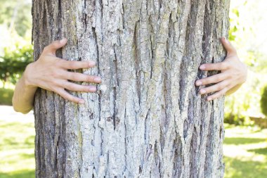 çevre kavramı, ağaç