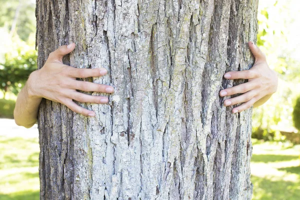 çevre kavramı, ağaç