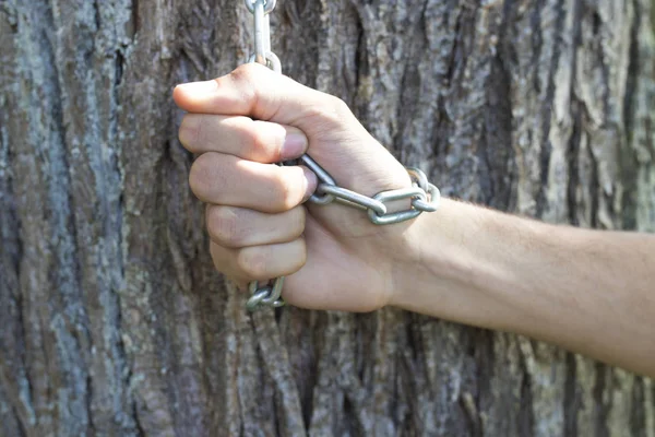 Hand chained to the tree — Stock Photo, Image