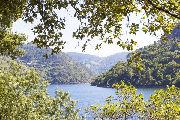 Paisaje del cañón del río —  Fotos de Stock