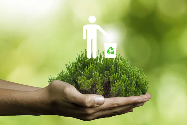 Manos Con Árbol Concepto Reciclaje —  Fotos de Stock