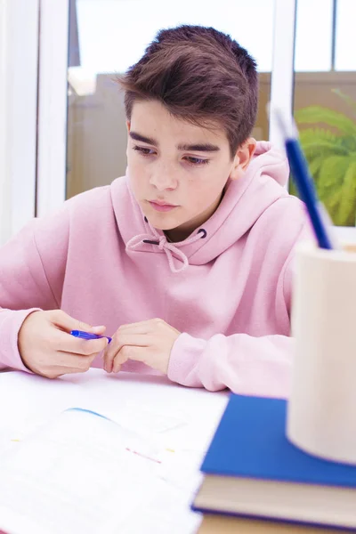 Estudante Adolescente Mesa Estudando Escrevendo — Fotografia de Stock