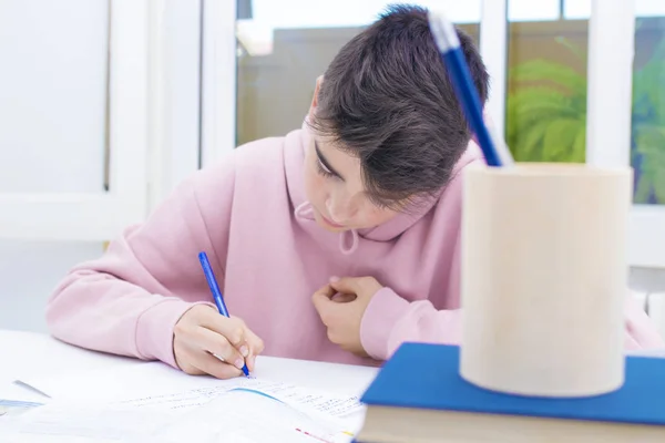 child writing and studying at the desk