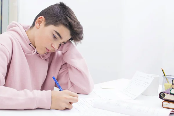 child writing and studying at the desk