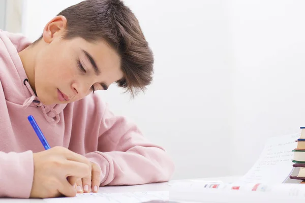 child writing and studying at the desk