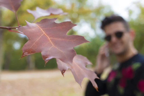 Adulto Jovem Com Telefone Celular Livre Outono — Fotografia de Stock