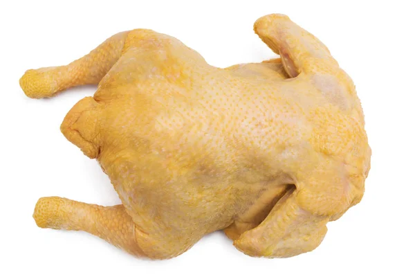 白い背景で分離された鶏の刺身 — ストック写真