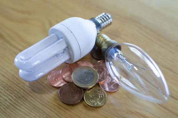 light bulbs and money in coins, energy saving