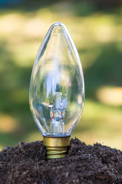 Lâmpada Terra Conceito Energia Sustentável — Fotografia de Stock