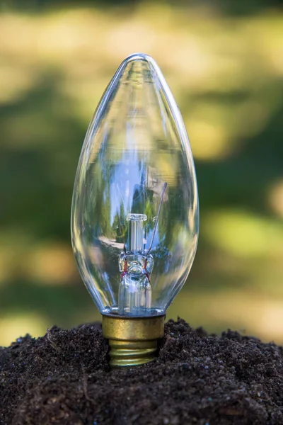 light bulb on earth, concept of sustainable energy