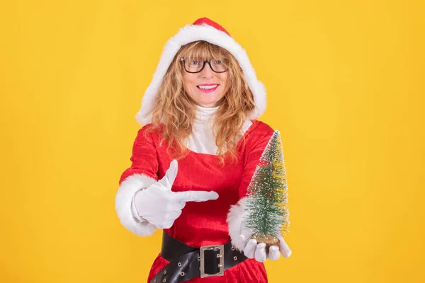 Papai Noel Com Árvore Natal — Fotografia de Stock
