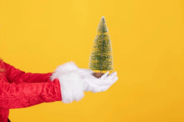 Santa Claus Mano Con Árbol Navidad Aislado —  Fotos de Stock