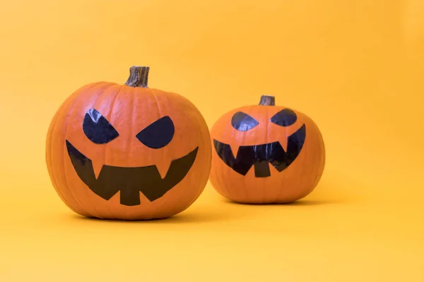 Halloween Kürbisse Farbe Hintergrund — Stockfoto