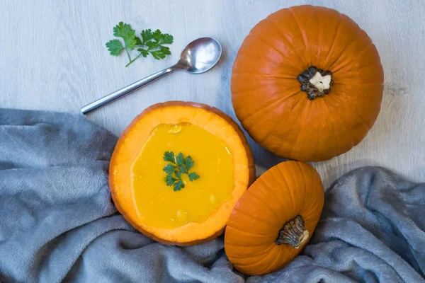 Appetizing Natural Pumpkin Cream Vegetables — 스톡 사진