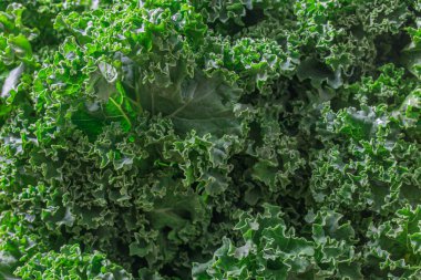 Taze sebze yapraklarının soyut arkaplanı