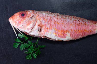 Kırmızı balık parçaları veya kayrak taşı üzerinde somon.