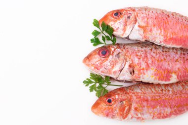 Beyaz arka planda doğal çiğ balık, somon balığı ya da kefal.