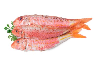 Beyaz, somon ya da kefal üzerine izole edilmiş taze doğal balık.