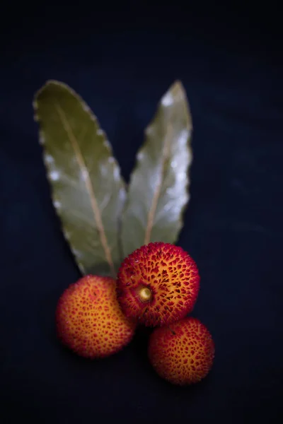 Wilde Rote Beeren Des Erdbeerbaums — Stockfoto