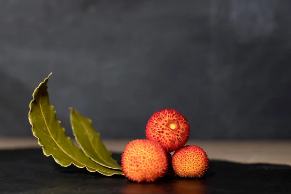 Wild Red Berries Strawberry Tree Isolated — 스톡 사진