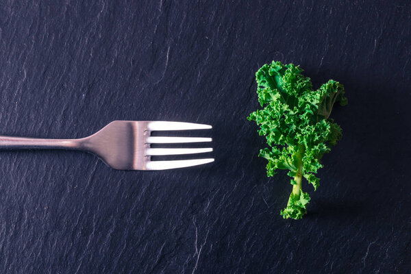 green vegetable leaf with fork isolated on stone