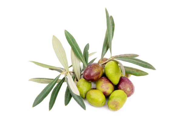 Natural Olives Isolated White Background Olive Branches — ストック写真