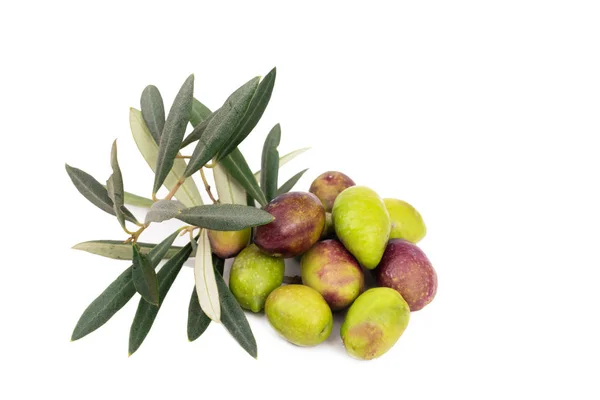 Aceitunas Naturales Con Hojas Olivo Aisladas — Foto de Stock