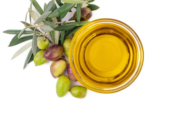 Olive Oil Natural Olives Olive Branches Isolated — Stock Photo, Image