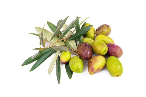 Natürliche Oliven Mit Olivenzweigen Isoliert — Stockfoto