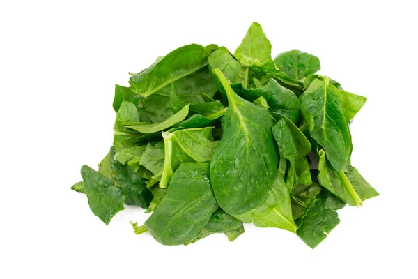 Natural Spinach Leaves Isolated White Background — 스톡 사진