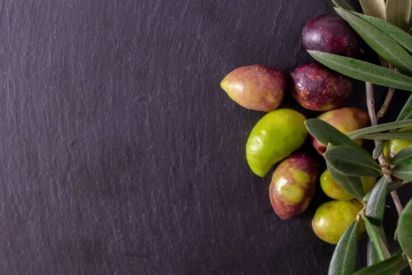natural olives with green olive branches and black stone background