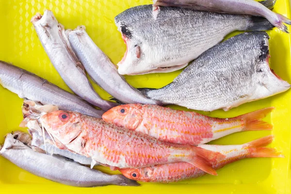 Různé Ryby Zlatých Mullet Lilií Nebo Bacaladilla — Stock fotografie