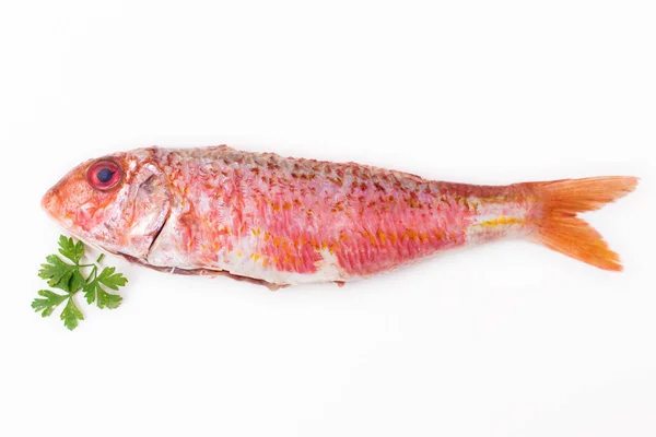 Naturlig Fisk Isolerad Vit Bakgrund Lax Eller Mullar — Stockfoto