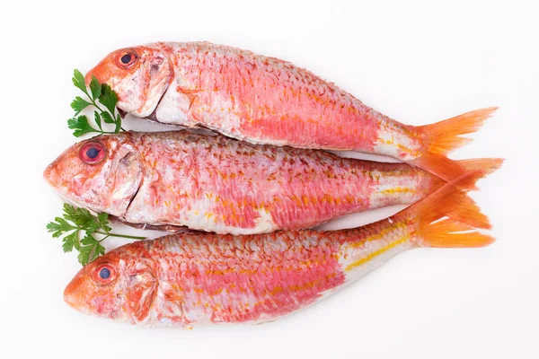 Přírodní Syrové Ryby Izolované Bílém Pozadí Losos Nebo Mullety — Stock fotografie