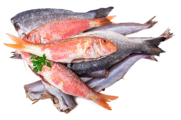 Разнообразные Рыбы Белом Фоне — стоковое фото