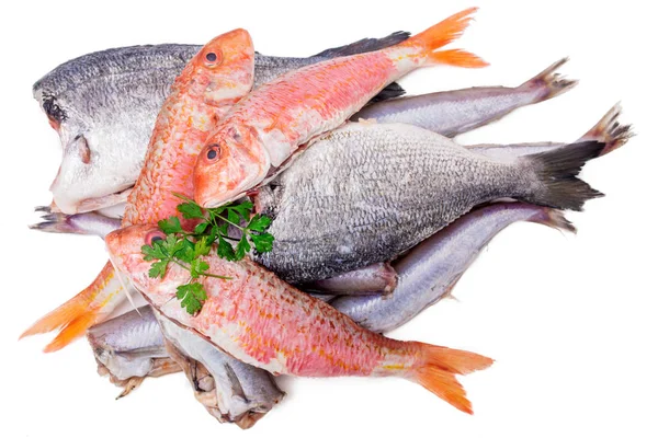 Rozmanité Ryby Izolované Bílém Pozadí — Stock fotografie