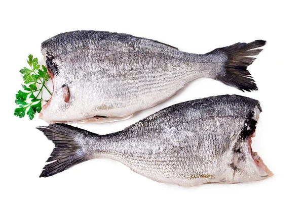 Čerstvé Ryby Mořské Pražmy Izolované Bílém Pozadí — Stock fotografie