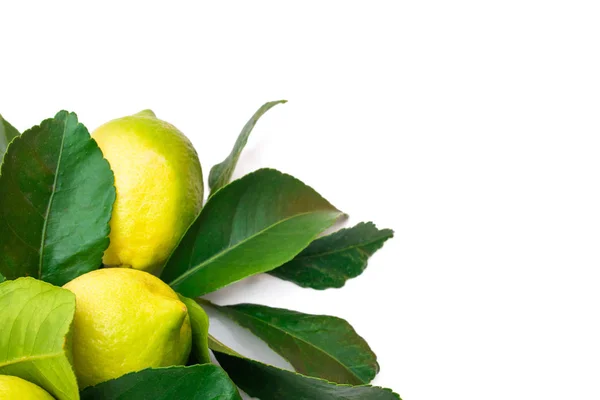 Limones Naturales Con Hojas Limón Aisladas —  Fotos de Stock