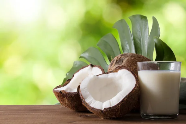 Noix Coco Naturelle Ouverte Lait Coco Aux Feuilles Tropicales — Photo